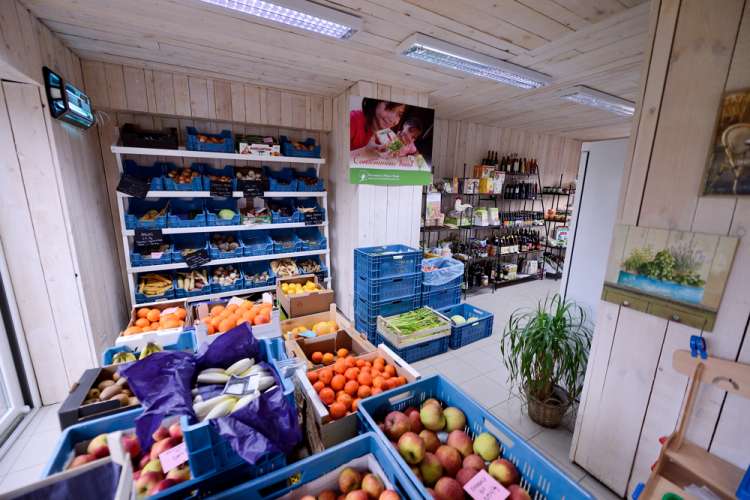 producteur-local-au-bio-village-quevaucamps-2
