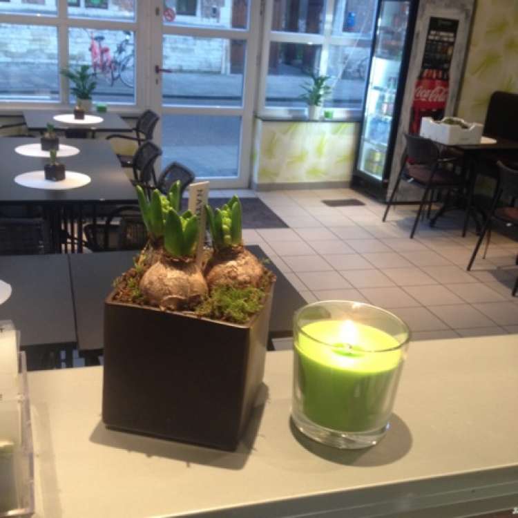sandwicherie-bagatel-antwerpen-6