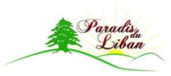 snack-friterie-paradis-du-liban-etterbeek-1-logo
