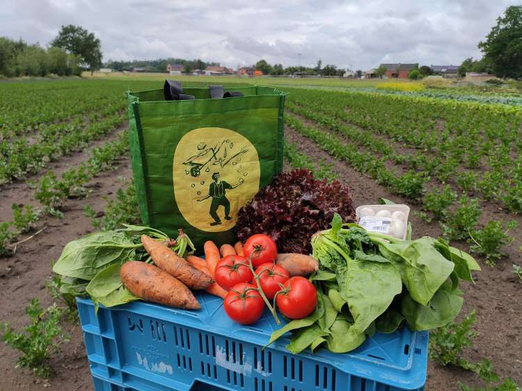 maraicher-legumes-de-bio-hoeve-westerlo-5