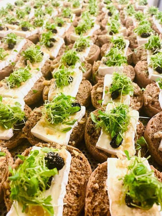 classique-stut-waregem-waregem-2