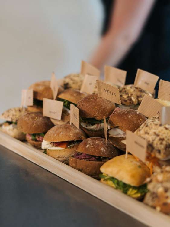 classique-stut-waregem-waregem-4